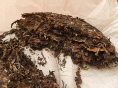 福鼎白茶如何保持长期储存方法？